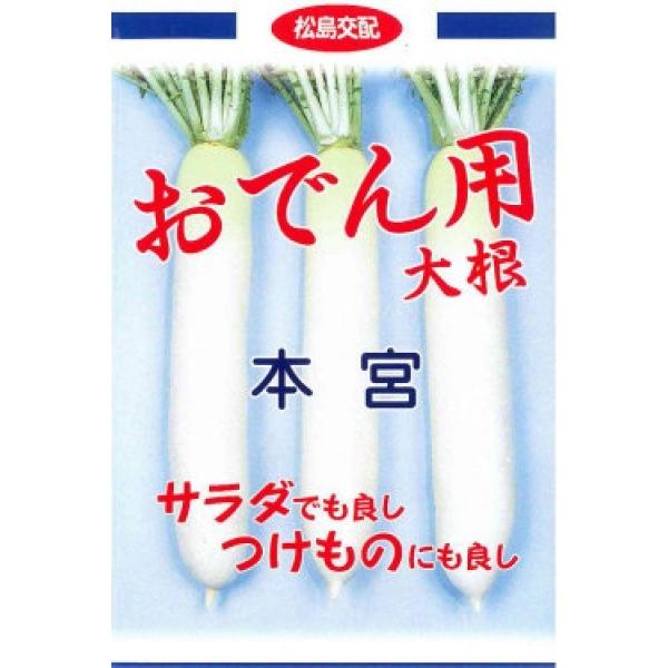 y卪qzzinӍ̎j@{{iƂ݂j@cł卪@܁@V^l̂͂6ȍ~ƂȂ܂