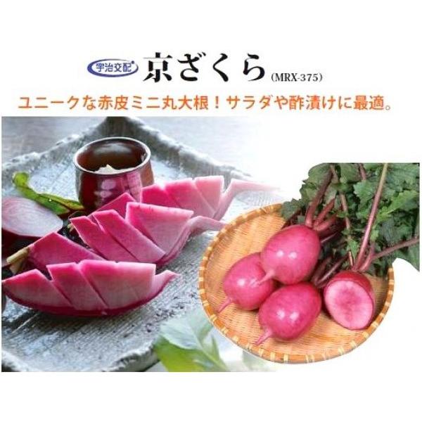 y_CRqzFziێcj@@Ԕ~jۑ卪@uv@20ml@͂7