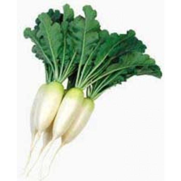 y_CRqzc@utqi͂˂jv@500