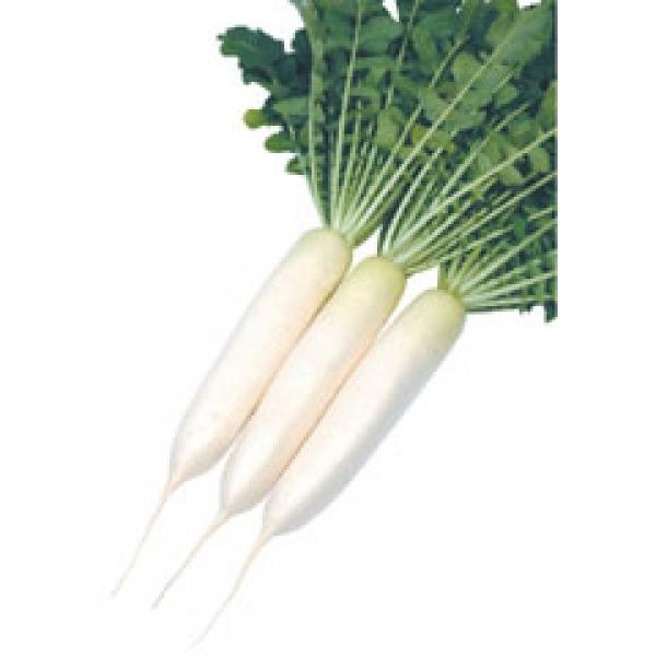 y_CRqzc@ӁXGi΂΂񂶁j8000