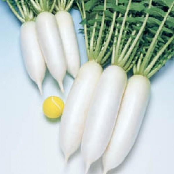 y_CRqz^LCz@OYi񂽂낤jDF܁i7mlj