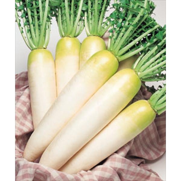 y_CRqz^LCz@ui炩jv@2@@