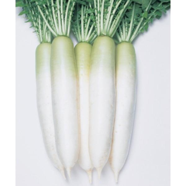 y_CRqz^LCz@╗@2@V^l12{ȍ~ƂȂ܂