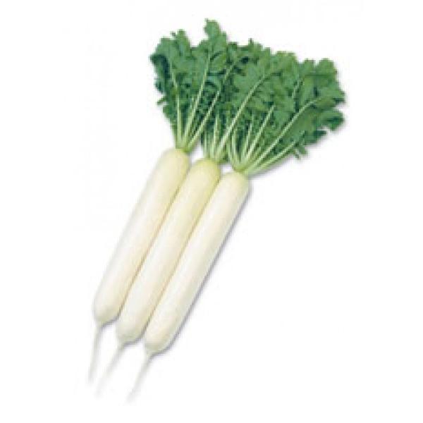 y_CRqzc@uiȂjv@܁@V^l6ȍ~̂͂ƂȂ܂