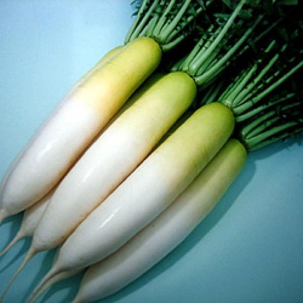 y_CRqz@nӌzinӔ_juƂ݁v@1000@V^l̂͂7ȍ~ƂȂ܂