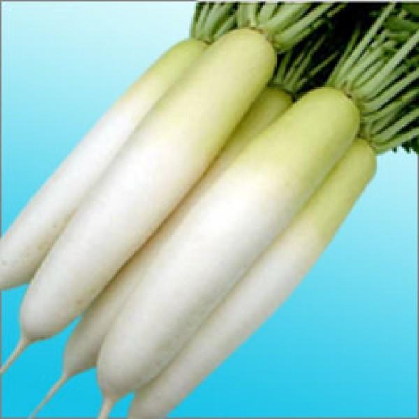 y_CRqznӌzinӔ_j@ui߂݂jv@ 5000@R[gq@[J[/s@V^l̂͂6ȍ~ƂȂ܂