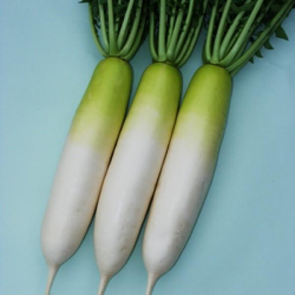 y_CRqznӌzinӔ_jui݂jv1000