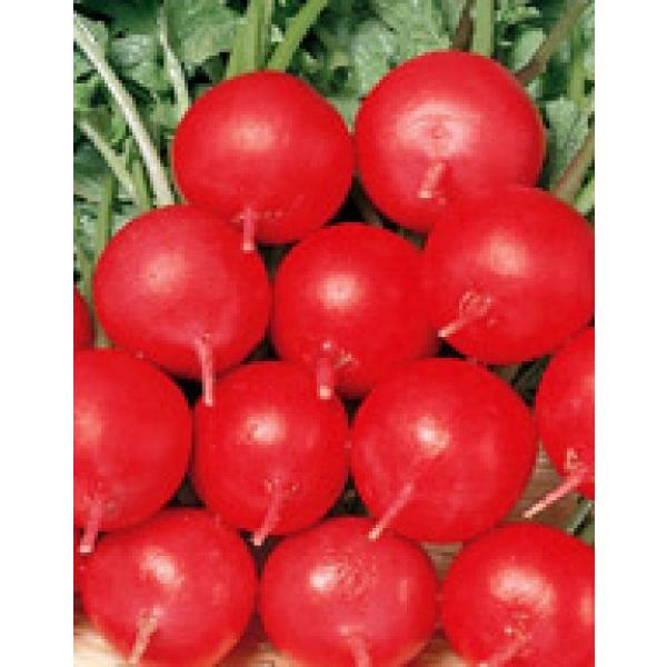 y卪qz@TJ^̃^l@͂@uځv@