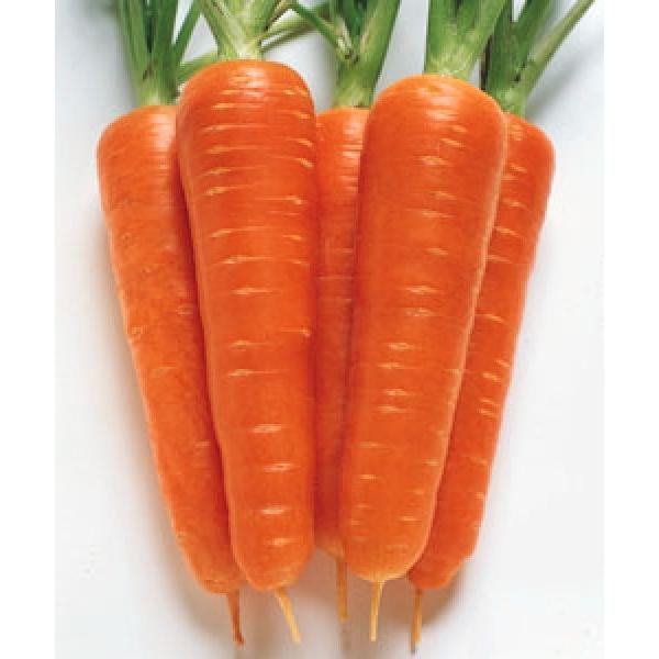 yjWqz@^LCz@uĎNgܐiȂ܂񂱂jv@@2dl@V^l̂͂5ȍ~ƂȂ܂