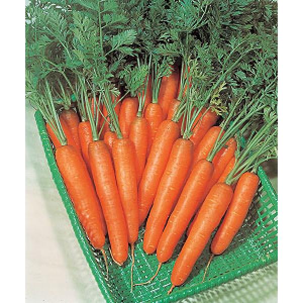 y~jjWqz@^LCc@usbRv@GF܁i7mlj