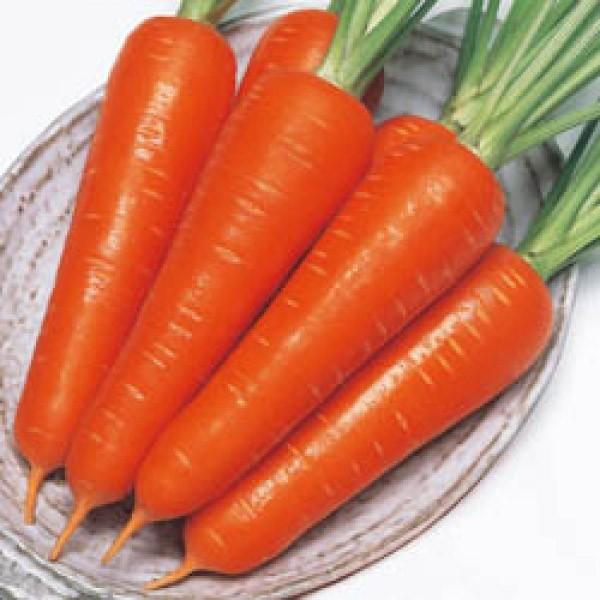 yjWqz^LCz@cDJeTihN^[Jej@ybg700