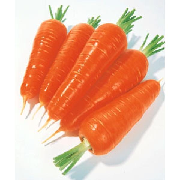 yjWqz^LCz@z񍆁@ybg10000@