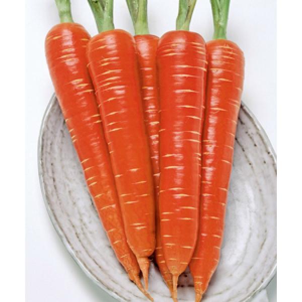 yɂ񂶂qz^LCz@ȂEX@ybg10000@V^l̂͂6ȍ~ƂȂ܂