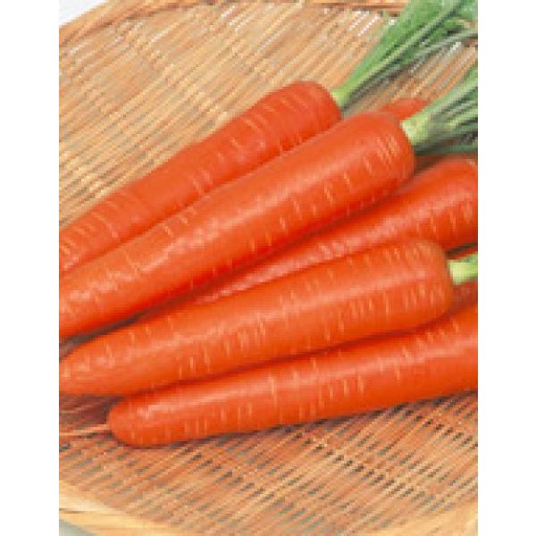 yjWqzTJ^z@x[^[b`@ybg10000@