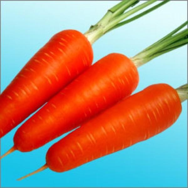 yjWqznӌzinӔ_j@ׂɂ悵ܐ@2@[J[/s