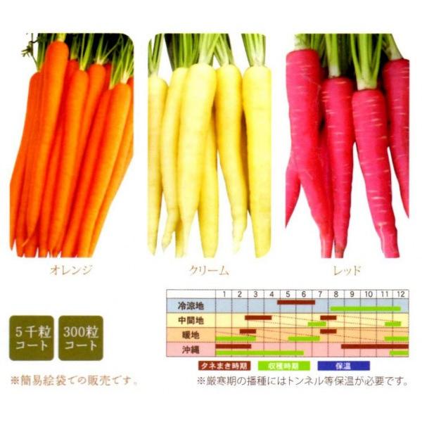 LbeN[@300R[gyjWqzit^ocjz@i@[J[ɂs