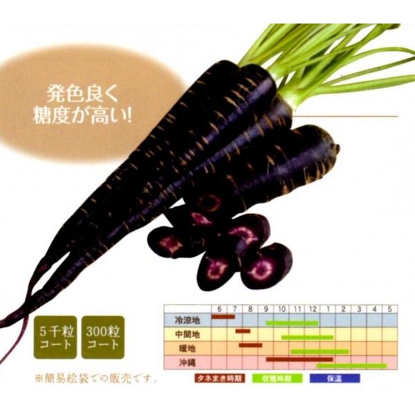 ɂ񂶂@5000R[gyjWqzit^ocjz@[J[ɂs