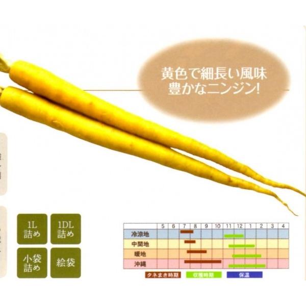 ꓇lQi܂ɂ񂶂j@1yjWqzit^ocj@[J[ɂs