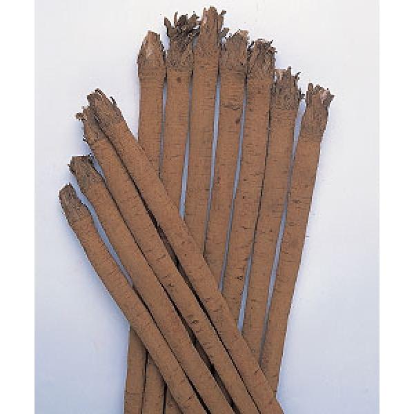 yS{Eqz@^LCc@ONq@咷@GF܁i9j