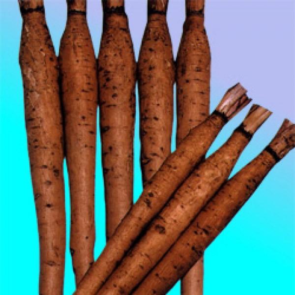 yS{EqznӔ_@SځiЂႭɂႭj܁i10mlj