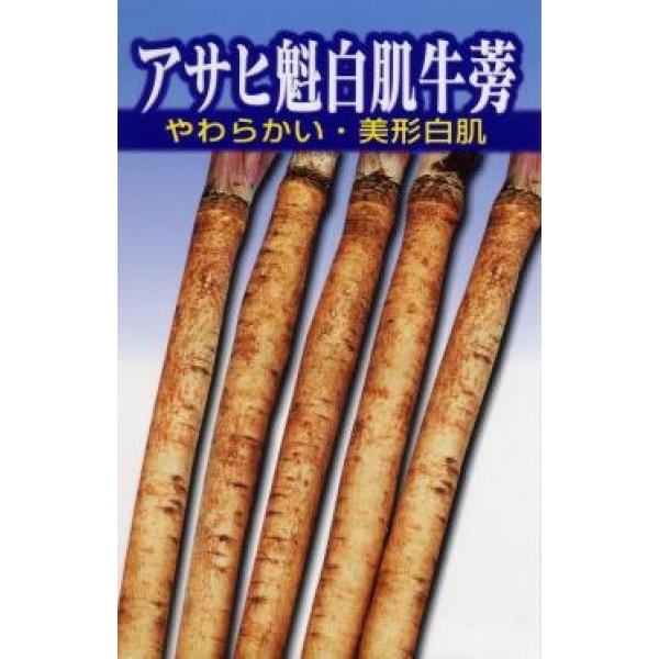 yS{EqzATq_@ATq@iЂڂj1bg@[J[/s