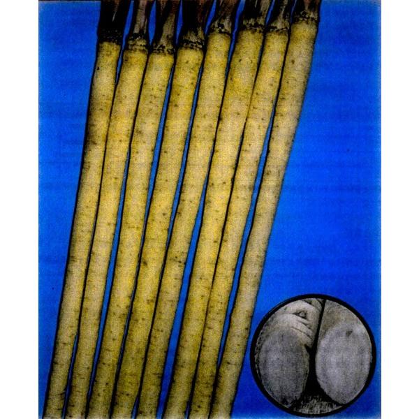 yS{Eqzs@uiт͂ڂjv@1bg@PVPo^i큚s