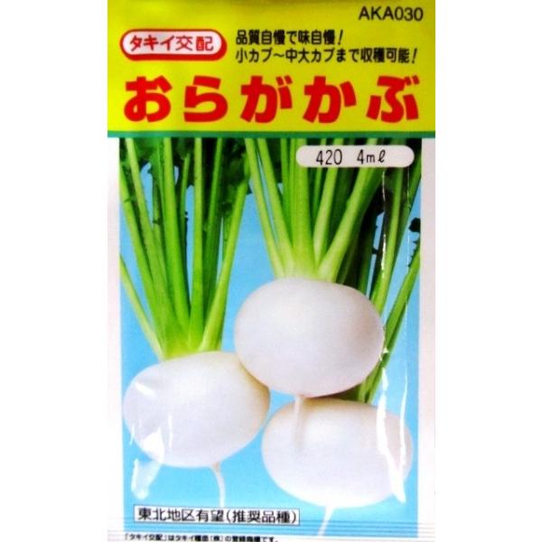 yJuz^LCz@炪ԁ@ikꔄij@4@V^l12{ȍ~ƂȂ܂