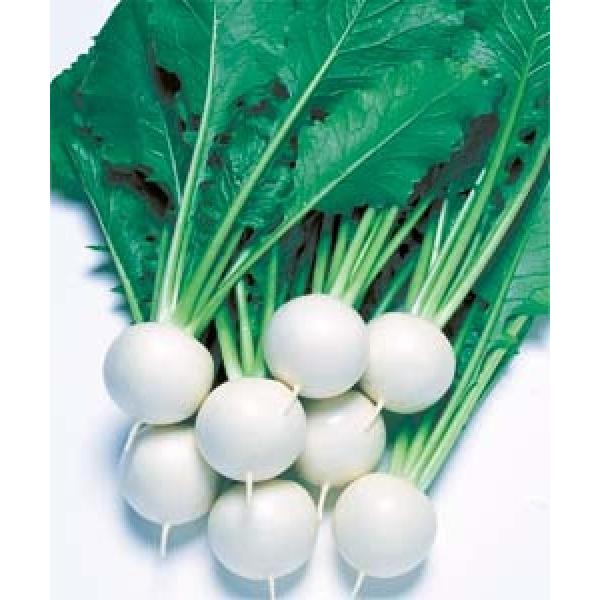 yJuqz^LCz@@bq΂ȁ@@1@V^l̂͂6ȍ~ƂȂ܂