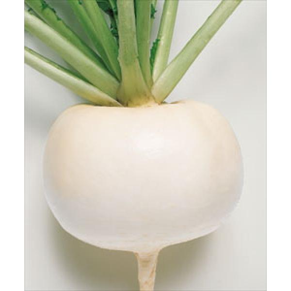 yJuqz^LCz@啓i킹ԁj@1@V^l6ȍ~ƂȂ܂