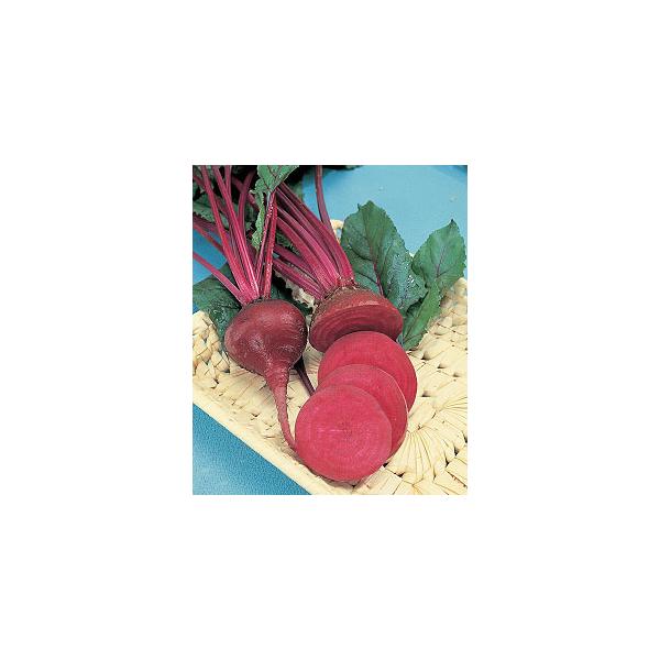 yr[cqz^LCc@fgCg_[Nbh@1dl@Nxi