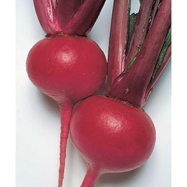 yJuqz@^LCc@{gԊەiقׂɂ܂j@@1@V^l6ȍ~ƂȂ܂