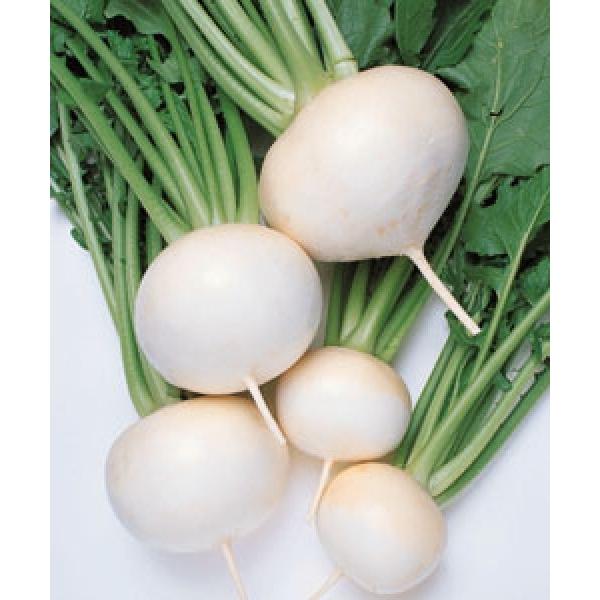 yJuqz^LCz@X@RF܁i3.5mlj@V^l12{ȍ~ƂȂ܂