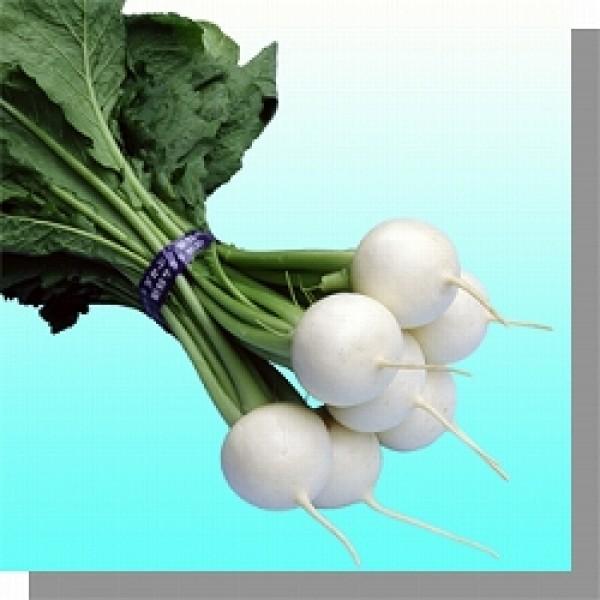 yJuqz݂ǌz@uT_i͂ꂢjv4