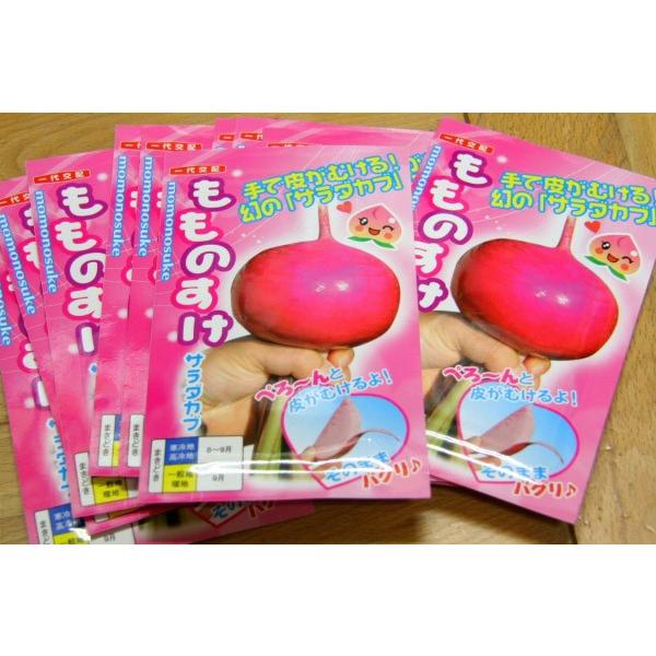 yJuqz@igc@@̃T_Ju@ûv@1@V^l̂͂8{ȍ~\