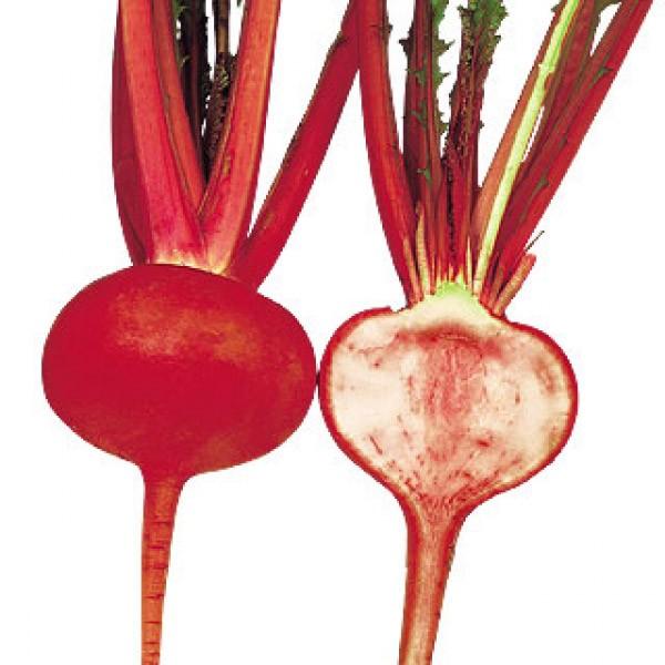 yJuqz@z@^g3i񂭁j@2@V^l6ȍ~ƂȂ܂