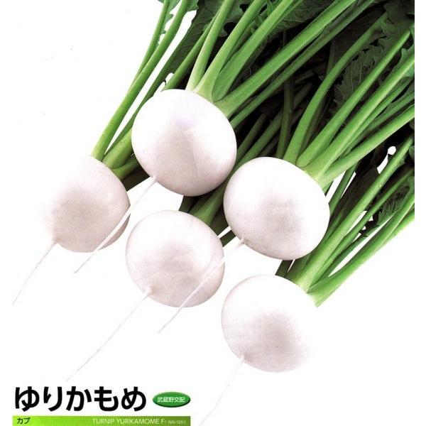 yJuqz@z@u肩߁v@܁i3mlj@V^l7ȍ~ƂȂ܂