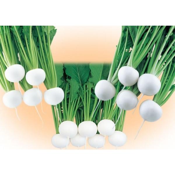 yJuqz@z@ui܂񂶂jv@20ml@V^l1ȍ~ƂȂ܂