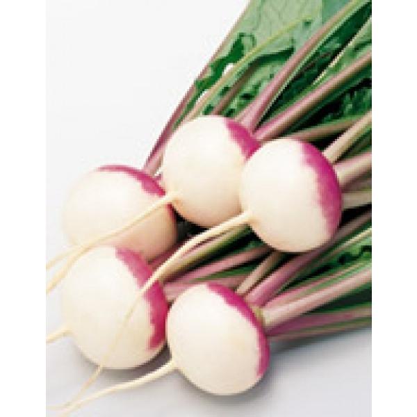 yJuqzTJ^z@uߐi߂䂫jv@10ml@ii