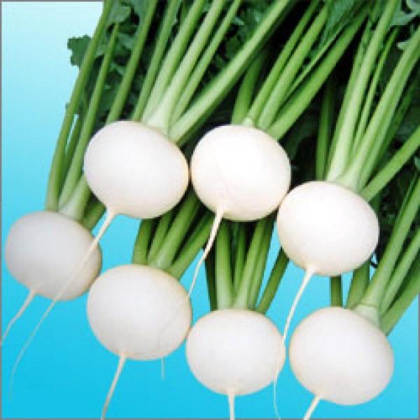 yJuqznӌzinӔ_j@u܂邿v@