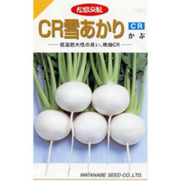 yJuqzzinӍ̎j@CRႠ@20