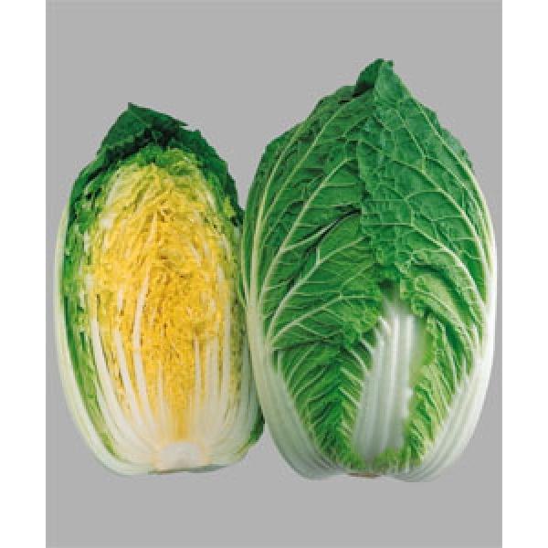 ynNTCqz^LCz@u65v65^@100R[g@V^l̂͂6ȍ~ƂȂ܂