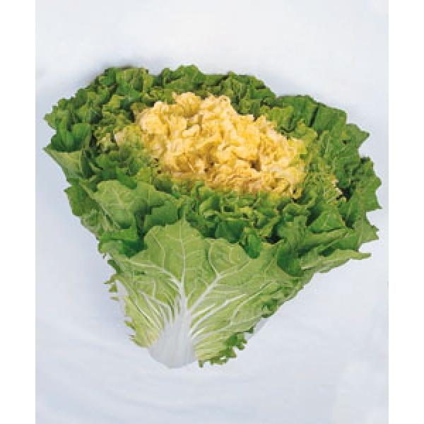 ynNTCqz^LCz@R͂uVÂ܁v90^@20@[J[/s@V^l̂͂6ȍ~ƂȂ܂