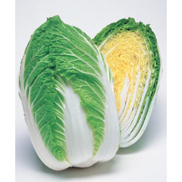 ynNTCqz^LCz@uڂ85v85^@DF܁i0.9mlj@V^l̂͂6ȍ~ƂȂ܂