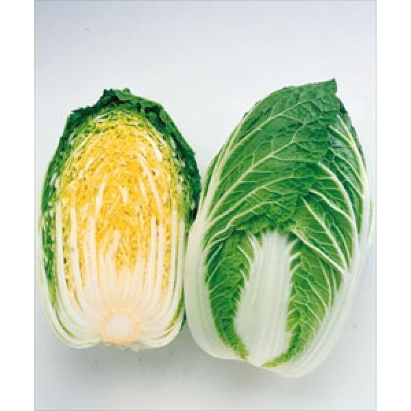 ynNTCqz^LCz@u75v75^@1@[J[/sV^l̂͂6ȍ~ƂȂ܂