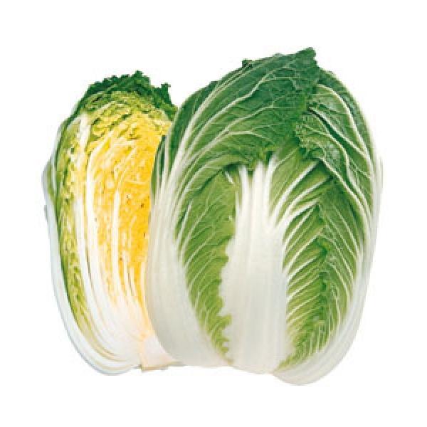 ynNTCqz^LCz@u80v80^@RF܁i0.5mlj@V^l̂͂6ȍ~ƂȂ܂