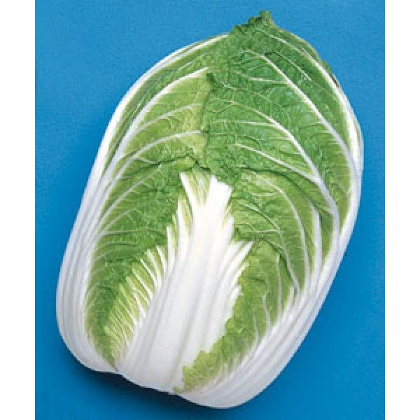 ynNTCqz^LCz@u~iӂƂjv90^@20ml@[J[/s@V^l̂͂6ȍ~ƂȂ܂