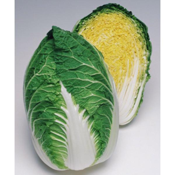 ynNTCqz^LCz@xgaϕau65v65^@DF܁i0.8mljV^l̂͂6ȍ~ƂȂ܂