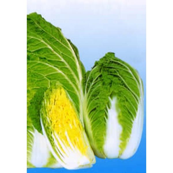 ynNTCqz@zinӍ̎j@~jnNTCuPi߂Ђ߁jv@60^@1@V^l̂͂6ȍ~ƂȂ܂