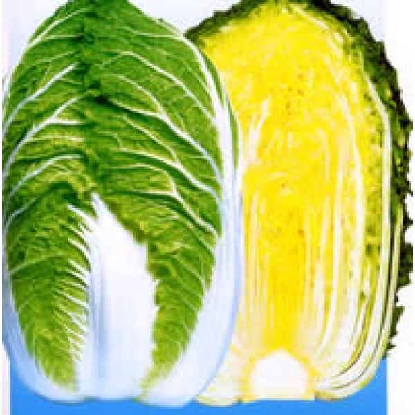 ynNTCqz@zinӍ̎j@uc85ijv@85^@170R[g@V^l̂͂6ȍ~ƂȂ܂