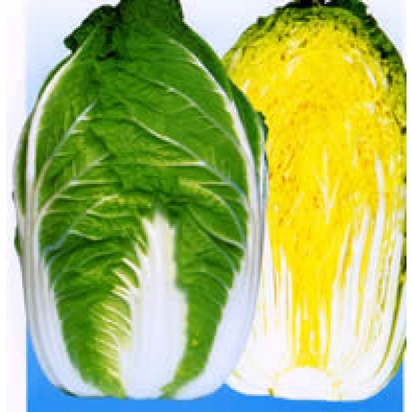 ynNTCqz@zinӍ̎j@uc70ijv@70^@10@sV^l̂͂6ȍ~ƂȂ܂